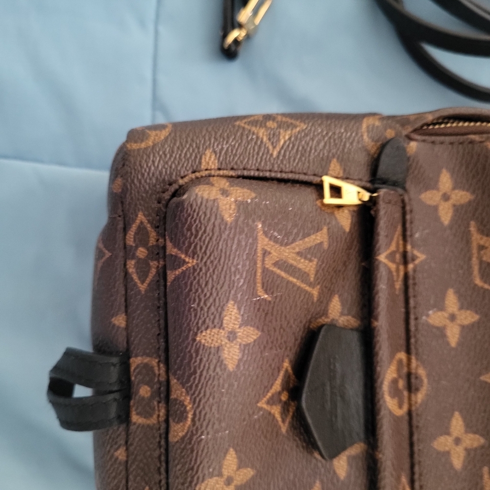 Louis Vuitton Palm SPRINGS Mini Brown Monogram Backpack - Picture 7 of 15